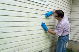 Best Siding Maintenance  in Lealman, FL